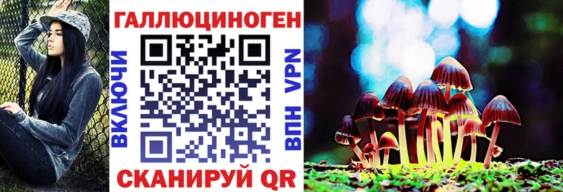 даркнет сайт  Павловск  Псилоцибиновые грибы Psilocybine cubensis 